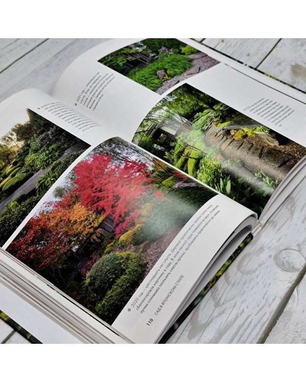 Сад в японском стиле. От идеи до воплощения