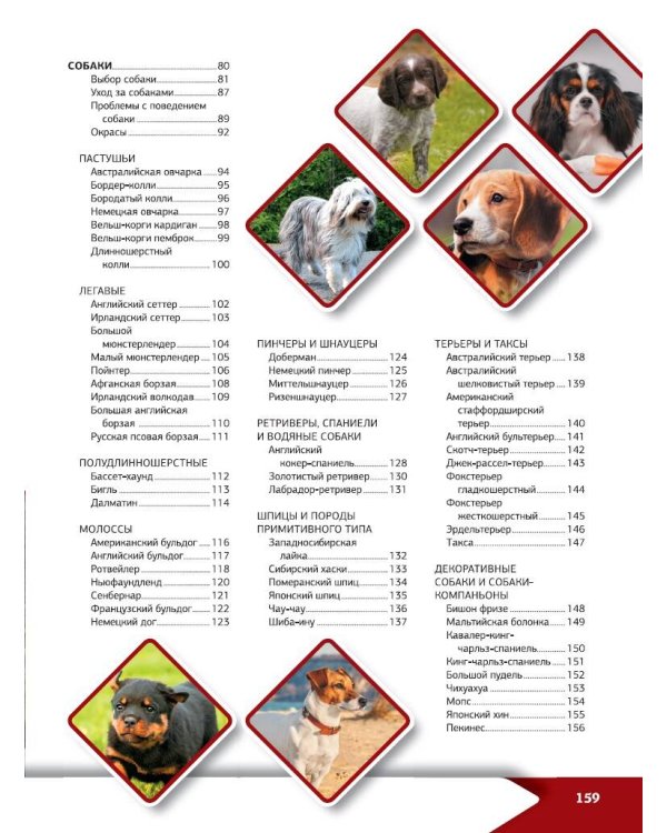 Большая энциклопедия о кошках и собаках