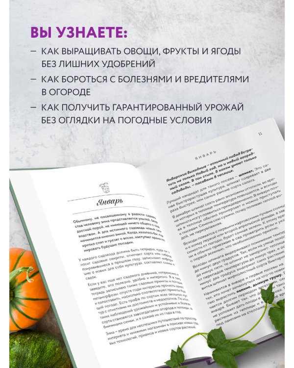 Не просто огород. Как получить южный урожай на севере