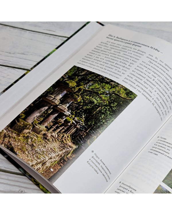 Сад в японском стиле. От идеи до воплощения