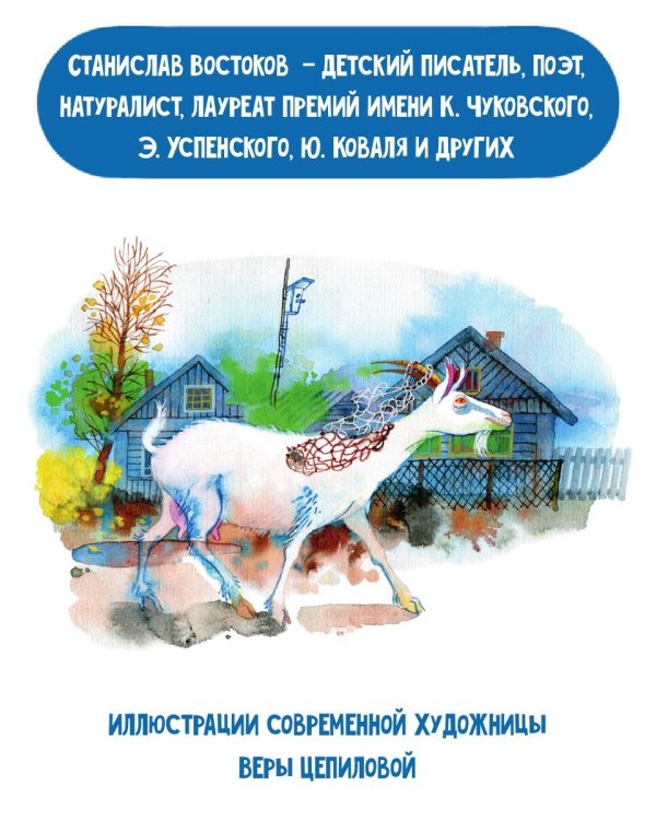 Кот в ведре. Рассказы о животных