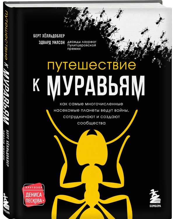 Путешествие к муравьям