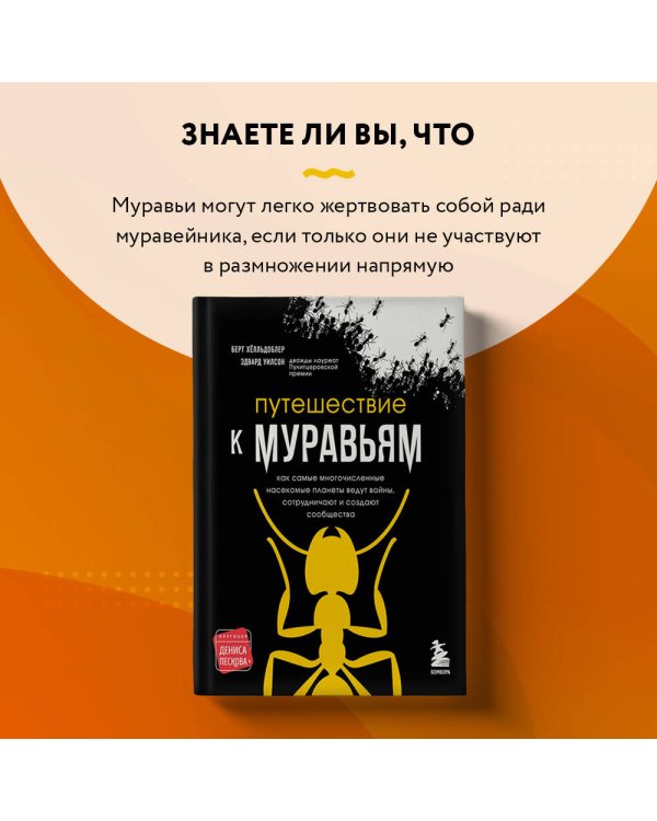 Путешествие к муравьям