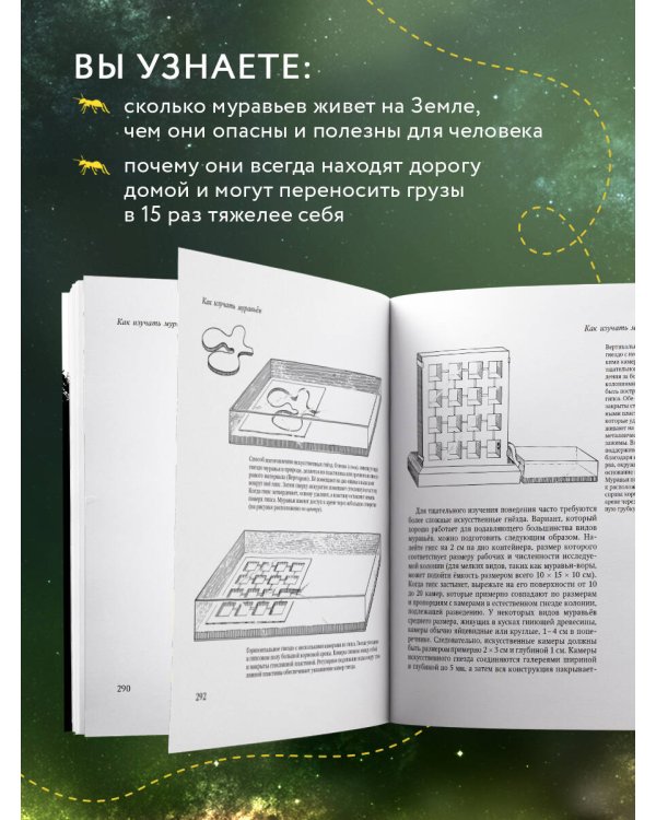 Путешествие к муравьям