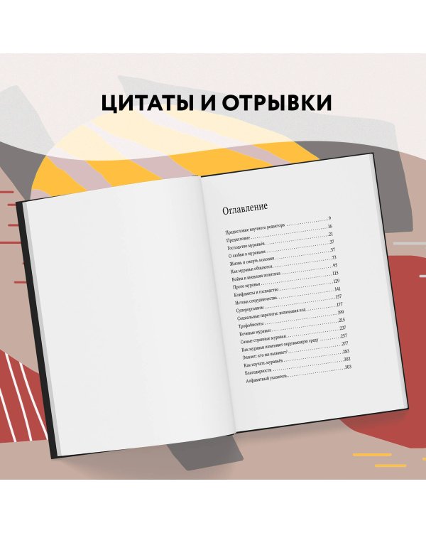 Путешествие к муравьям