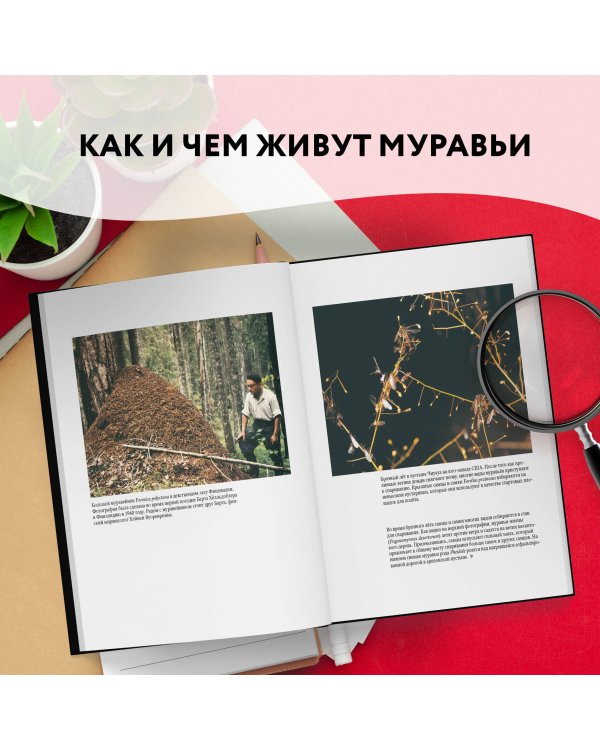 Путешествие к муравьям