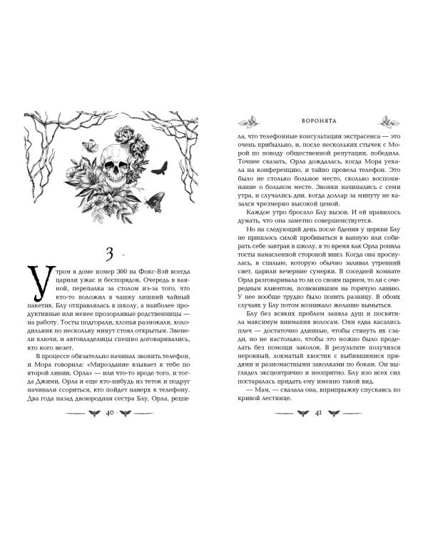 Вороновый круг. Воронята (#1) (подарочное оформление)