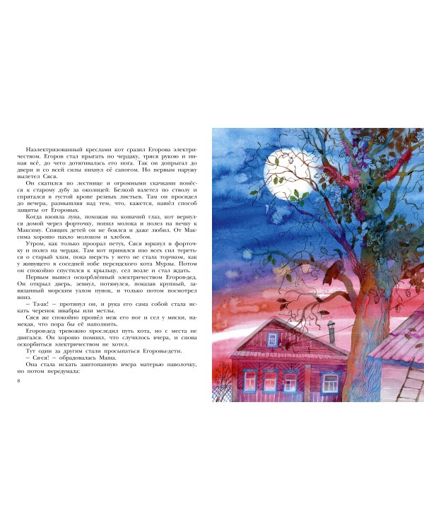 Кот в ведре. Рассказы о животных