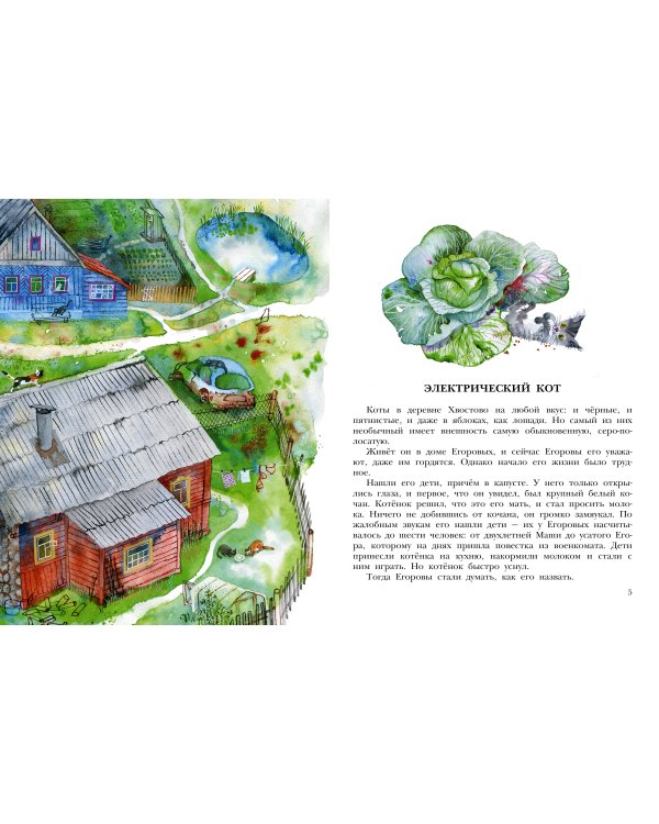 Кот в ведре. Рассказы о животных