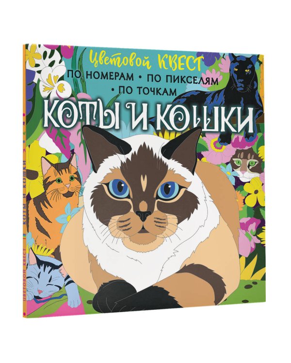 Коты и кошки