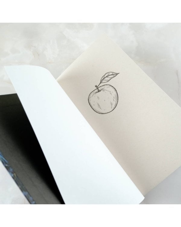 Пепел и снег