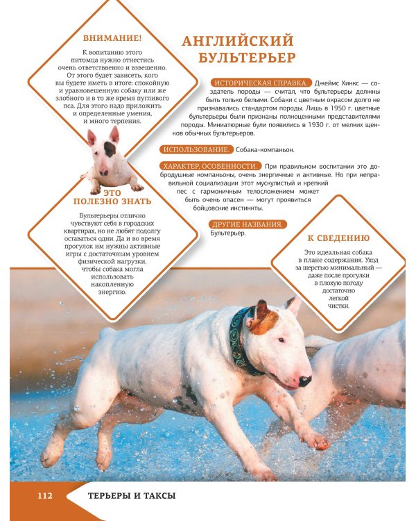 Самая лучшая иллюстрированная энциклопедия. Собаки