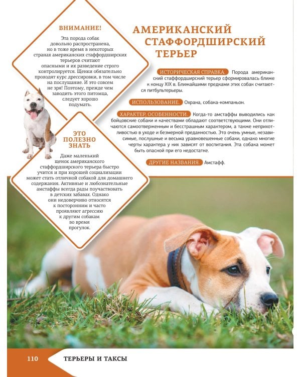 Самая лучшая иллюстрированная энциклопедия. Собаки