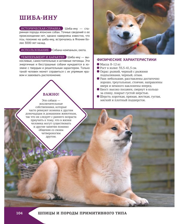 Самая лучшая иллюстрированная энциклопедия. Собаки