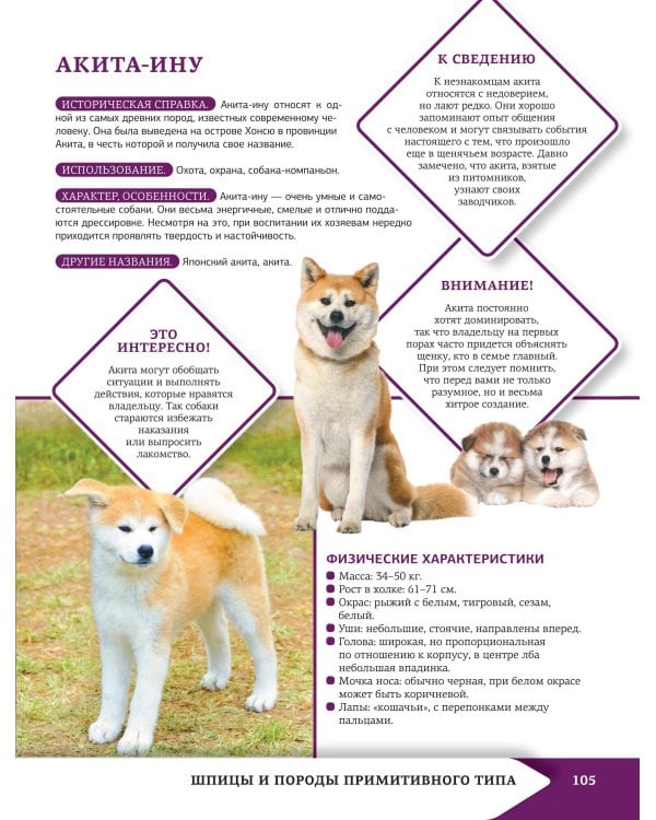 Самая лучшая иллюстрированная энциклопедия. Собаки