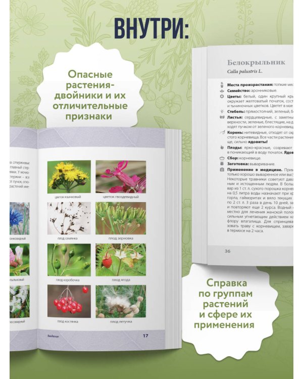 Лечебные травы. Иллюстрированный справочник-определитель