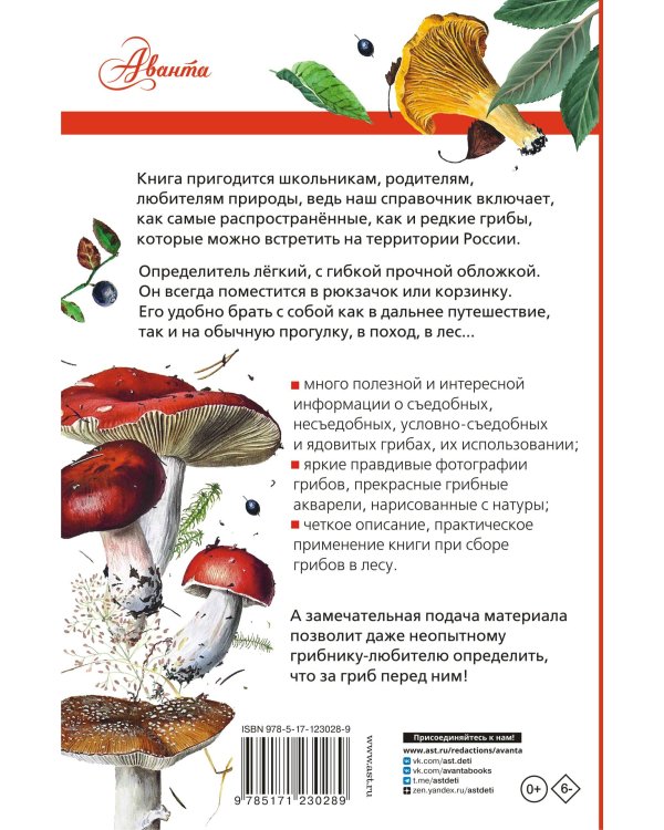 Грибы России. Определитель