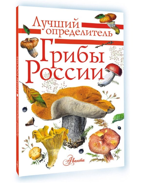 Грибы России. Определитель