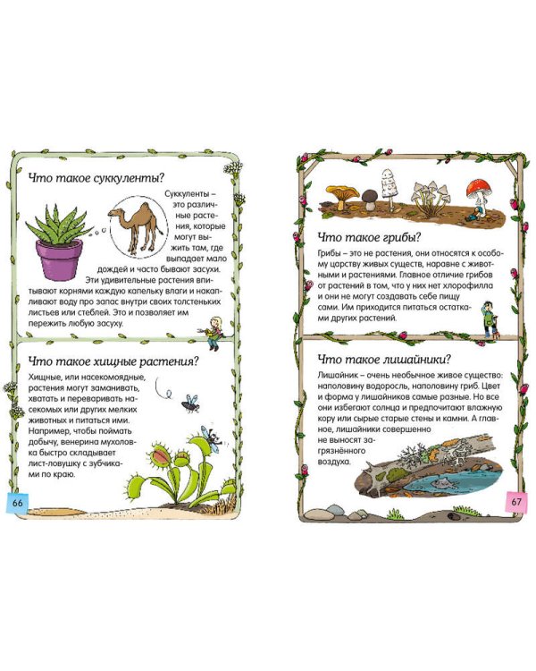 Скажи мне, что это?