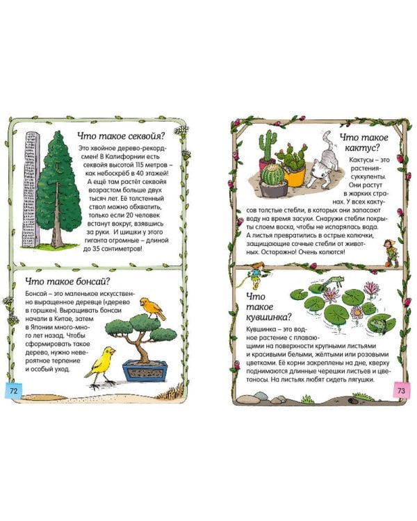 Скажи мне, что это?