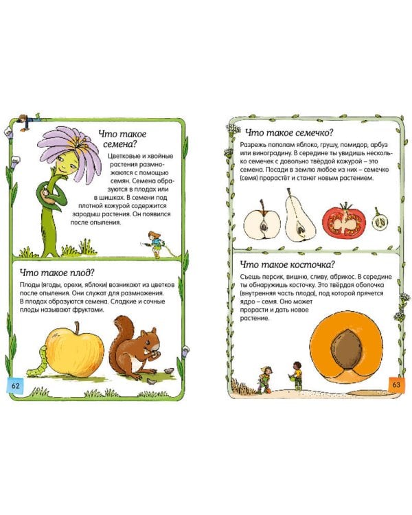 Скажи мне, что это?