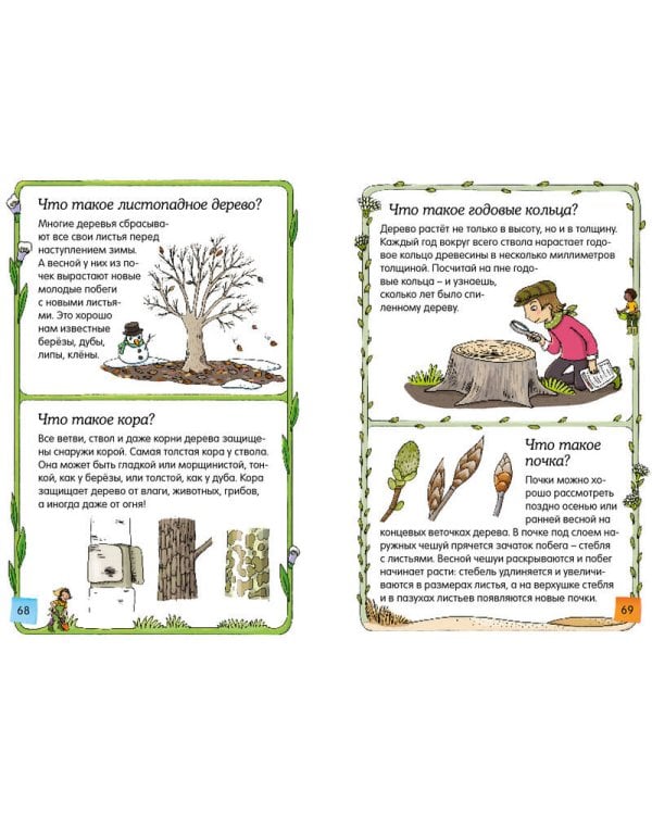 Скажи мне, что это?