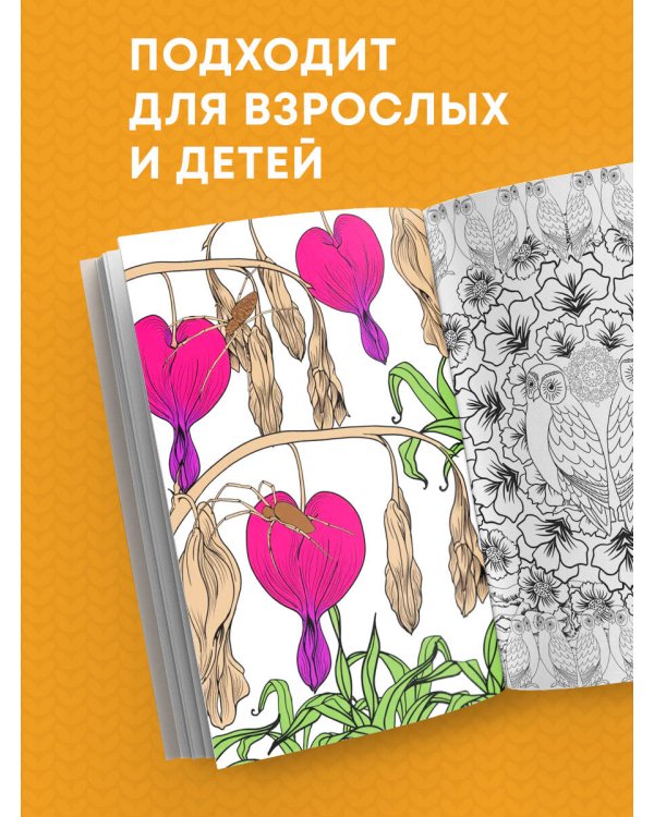 Загадочный лес.Мини-раскраска-антистресс для творчества и вдохновения.