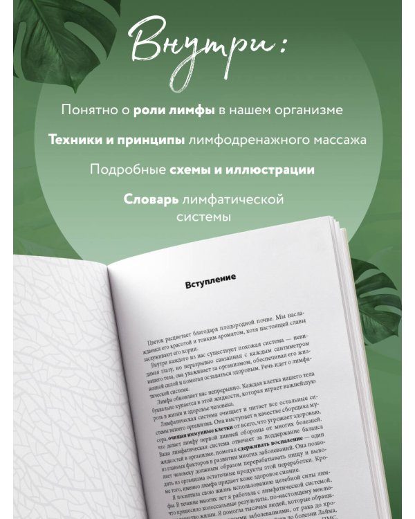Живая лимфа. Техники лимфодренажного самомассажа для укрепления иммунитета и всех систем организма