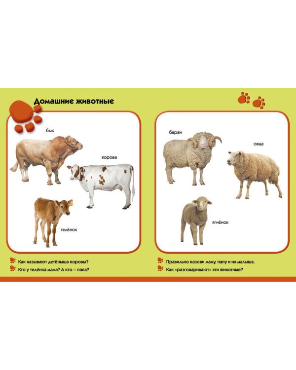 Лето в деревне. Развиваем малыша (1-2 года)