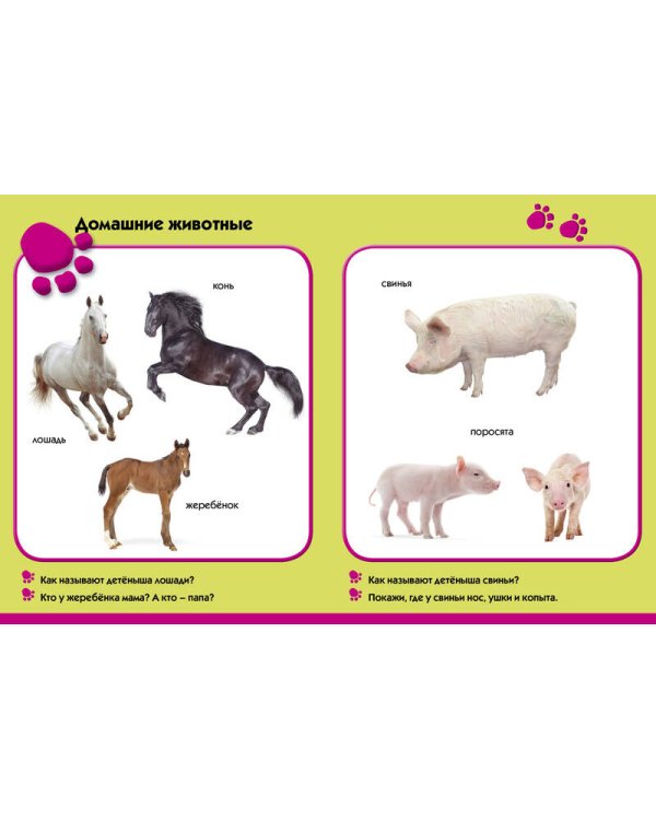 Лето в деревне. Развиваем малыша (1-2 года)