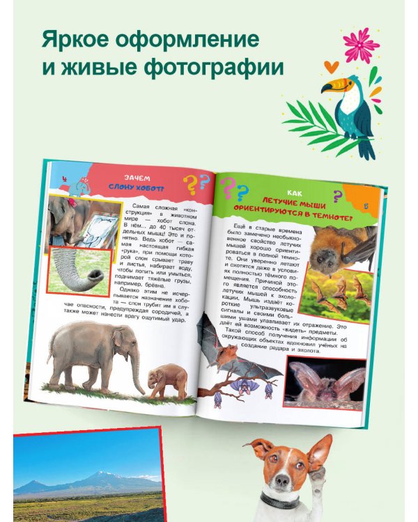 Энциклопедия-викторина