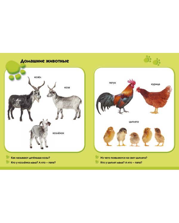 Лето в деревне. Развиваем малыша (1-2 года)