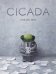 Cicada (Shaun Tan) Цикада (Шон Тан)  /Книги на английском языке