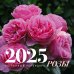 Розы. Настенный календарь на 2025 год