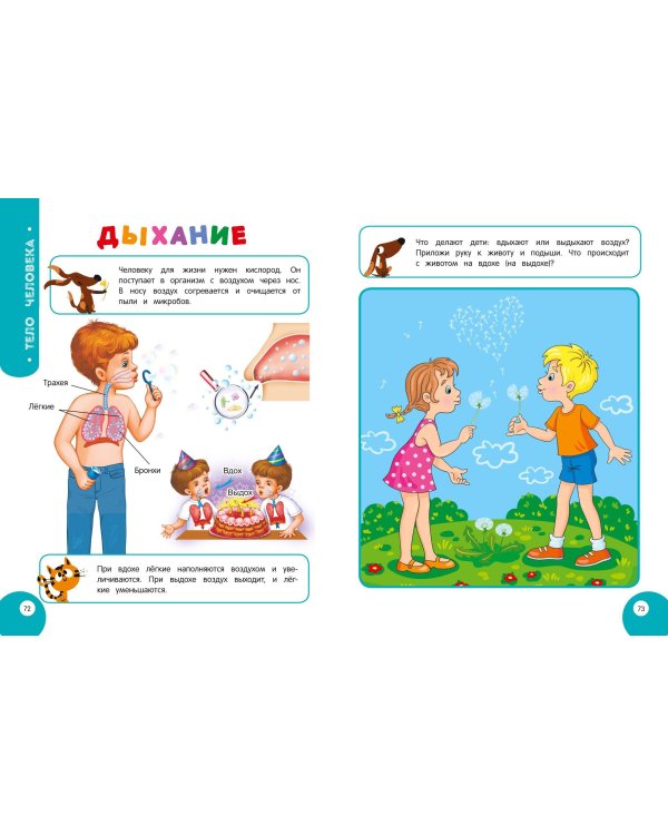 Мой умный ребенок для детей от 6 лет