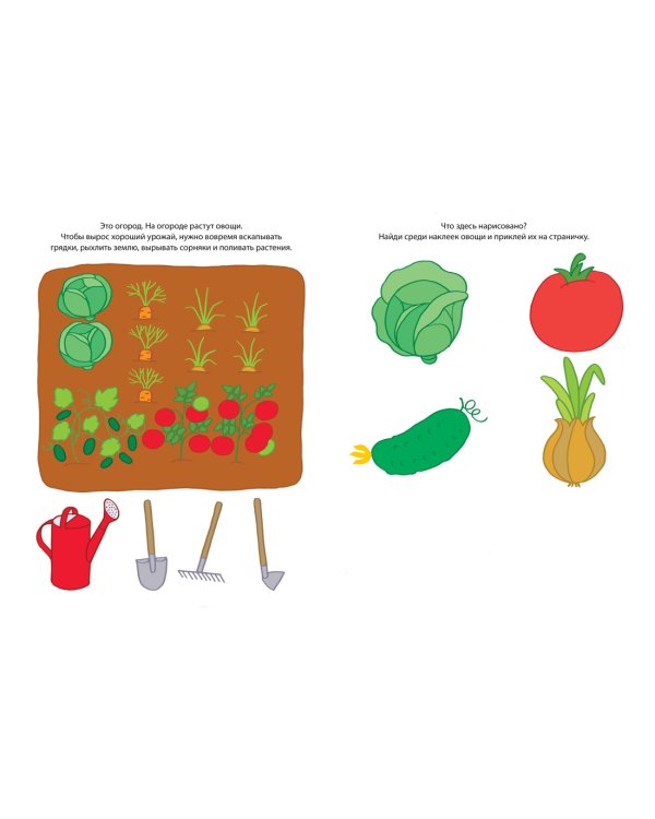 Знакомимся с природой (2-3 года)