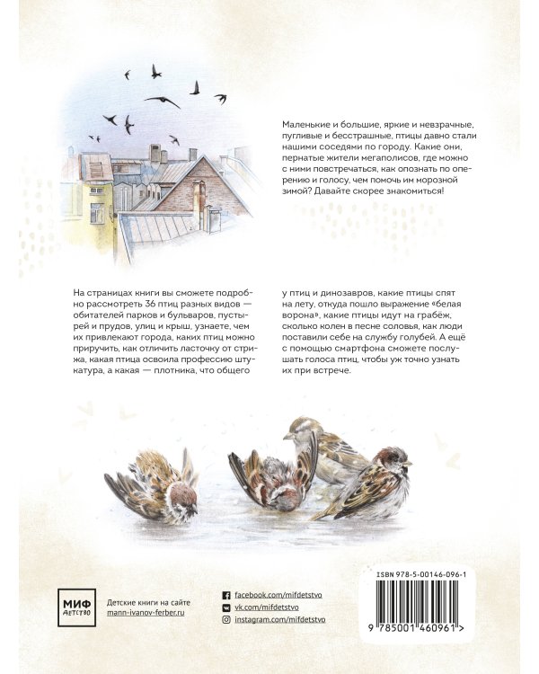 Птицы в городе. Где найти и как узнать