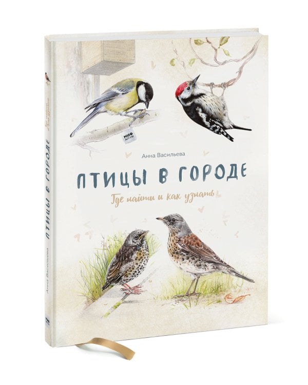 Птицы в городе. Где найти и как узнать