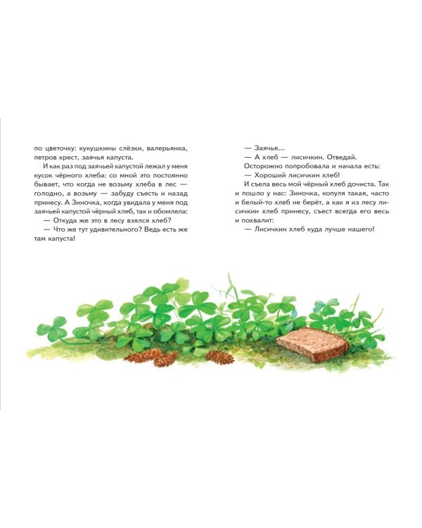 Моя Родина. Рассказы (ил. С. Ярового)