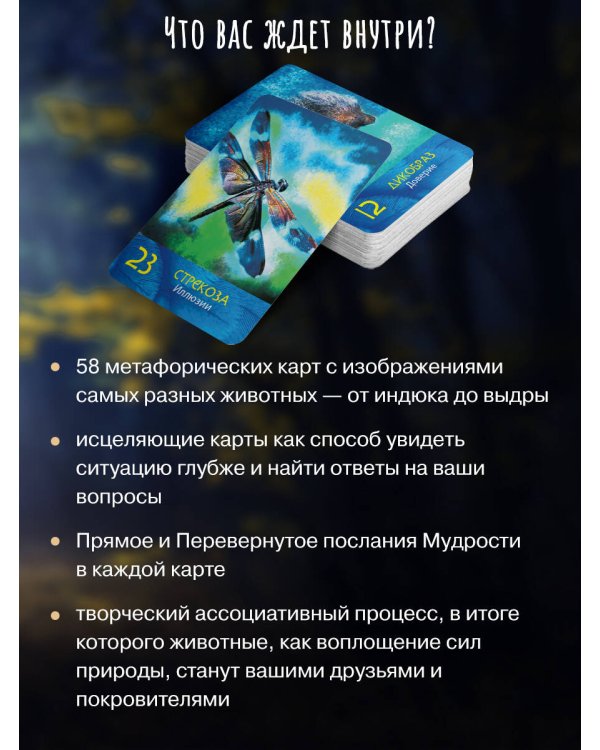 Сила шамана: исцеляющие карты животных