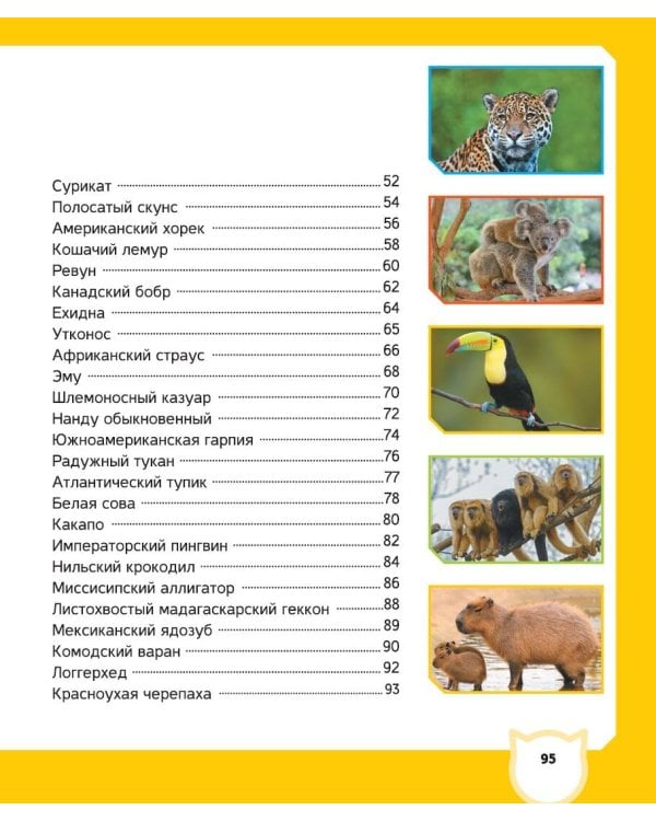 Животные