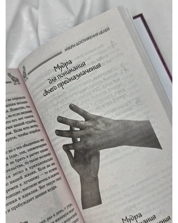 Все мудры, исполняющие желания, в одной книге. Научись управлять вибрациями Вселенной