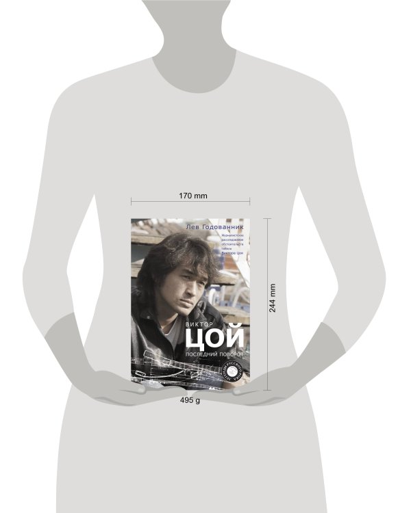 Виктор Цой. Последний поворот