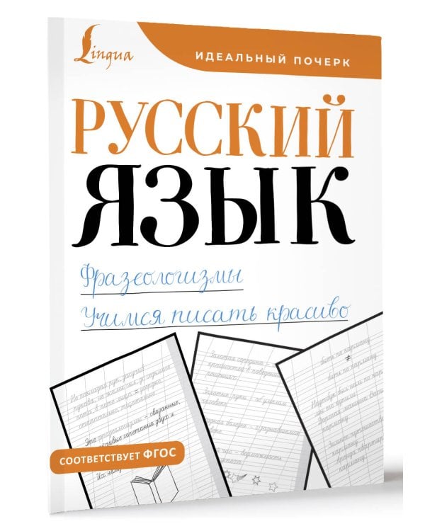 Русский язык. Фразеологизмы. Учимся писать красиво