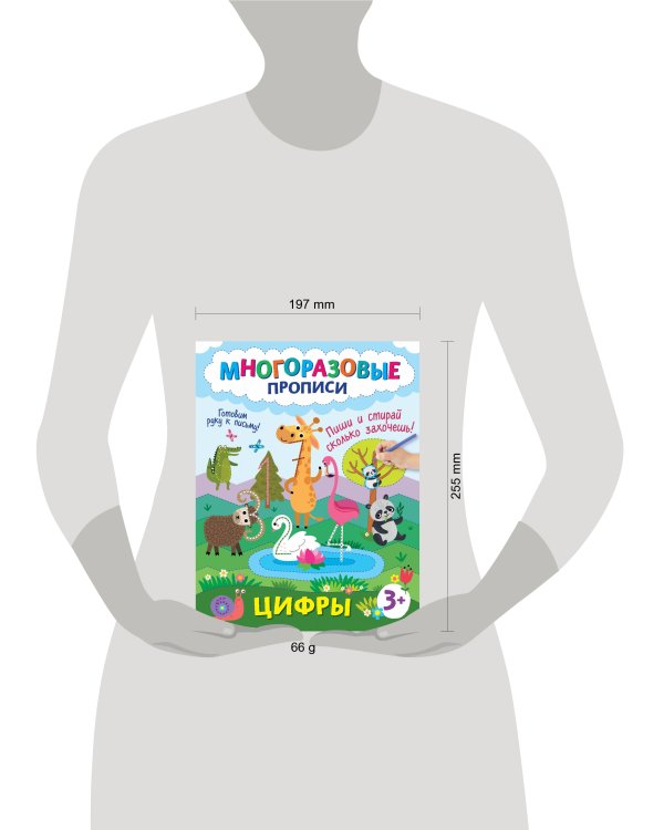 Цифры. Пиши и стирай сколько захочешь!