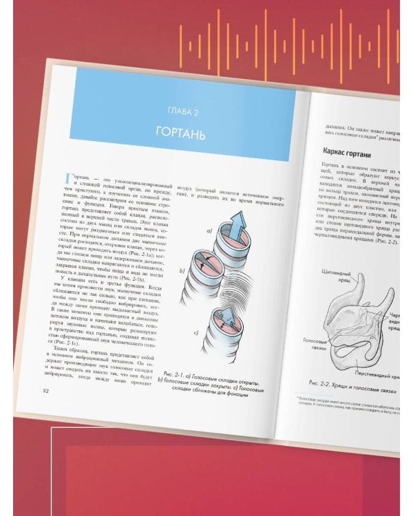 Анатомия голоса. Иллюстрированное руководство для певцов, преподавателей по вокалу и логопедов