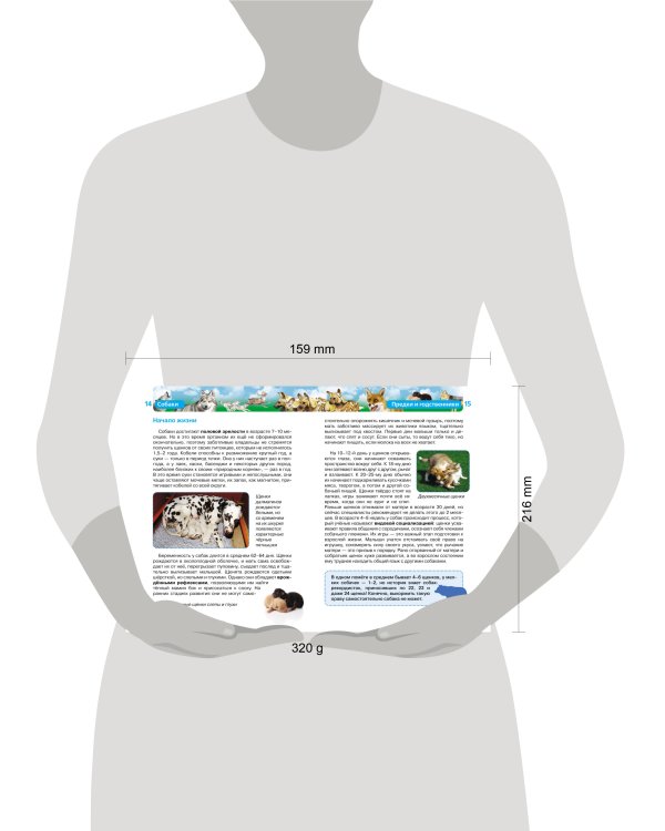 Собаки (ДЭР)