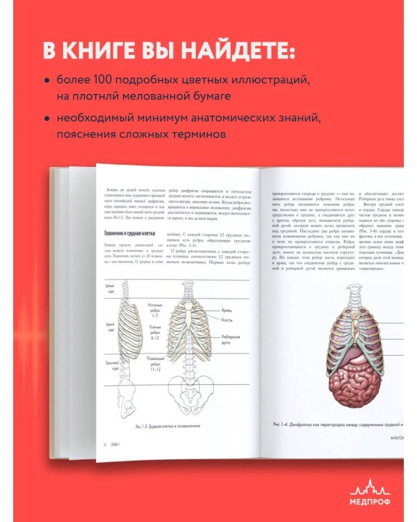 Анатомия голоса. Иллюстрированное руководство для певцов, преподавателей по вокалу и логопедов