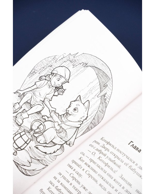 Котофильд в поисках клада