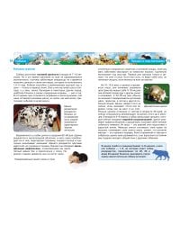 Собаки (ДЭР)